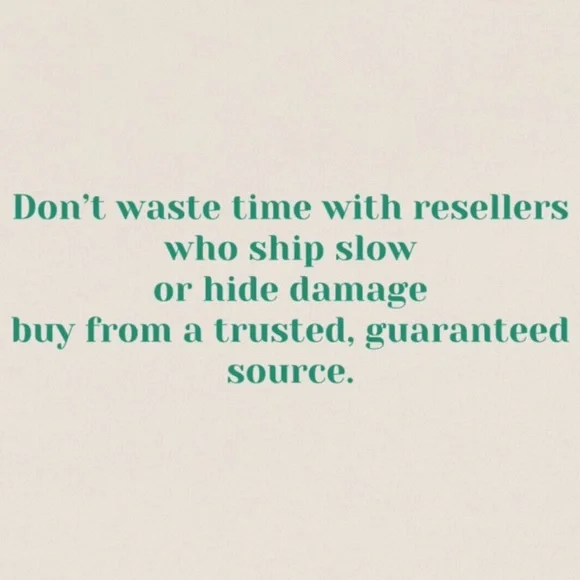 Air Jordan 4 Royalty GS 7y - Picture 3 of 12